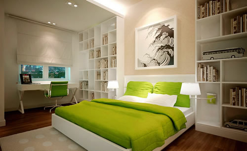 feng-shui vastu camera